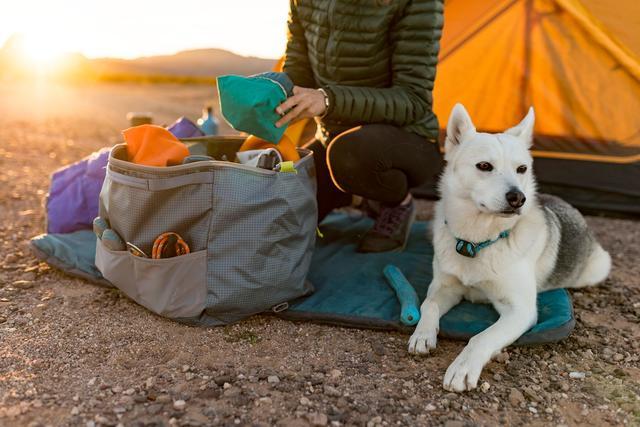 Person unpacking their Orvis dog travel bug at a camping site.