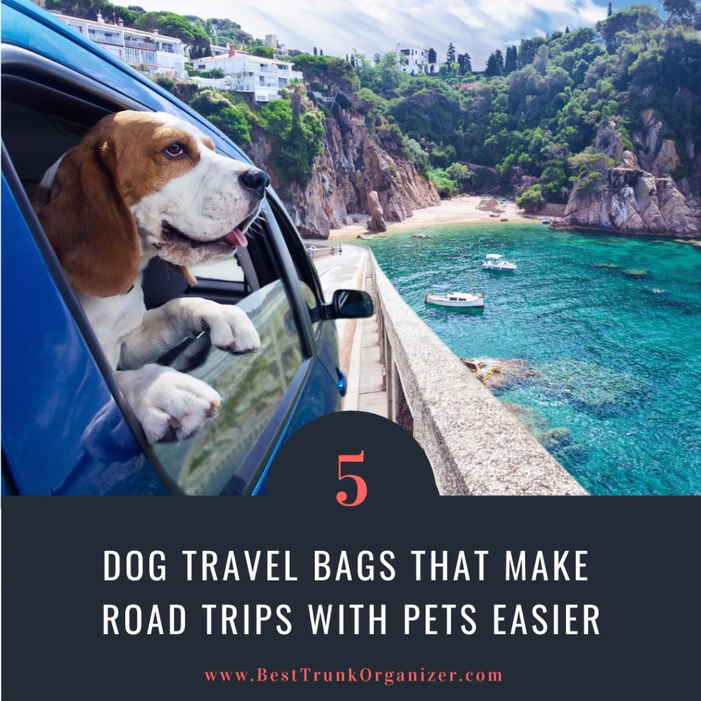 Our5 favorite dog travel bags - cute beagle with his head out the window