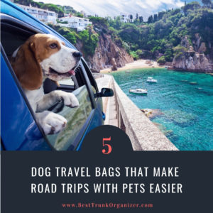 5 Dog Travel Bags That Make Road Trips with Your Pet Easier